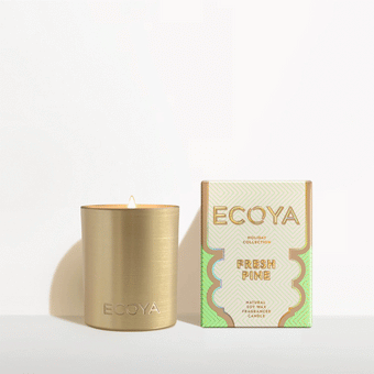 Ecoya Fresh Pine Mini Goldie Holiday Collection