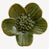 Steiner Ceramics Ribbonwood - Large