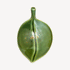 Steiner Ceramics Icon Leaf