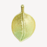 Steiner Ceramics Icon Leaf