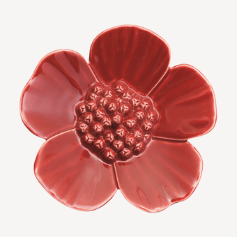 Steiner Ceramics Ribbonwood - Medium