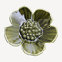 Steiner Ceramics Ribbonwood - Medium