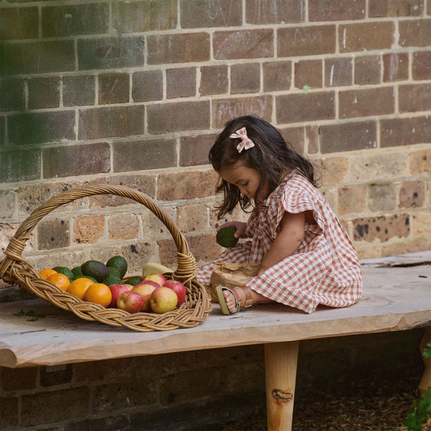 Nature Baby Una Dress - Dandelion Gingham