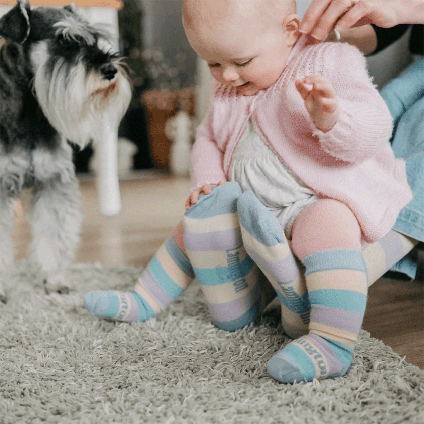 Lamington Merino Wool Knee High Socks | BABY | Sherbet