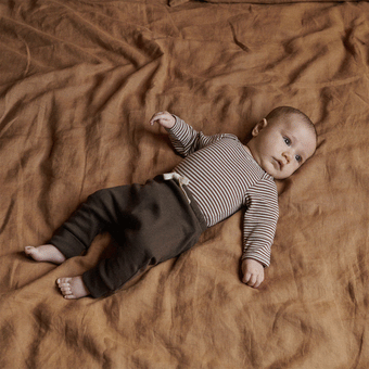 Nature Baby Cotton Long Sleeve Bodysuit - Pinecone Stripe