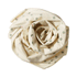 Nature Baby Cotton Wrap - Lucky Print