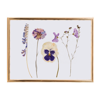 Discovery Zone Classic Flower Press Wood 15x5x15cm
