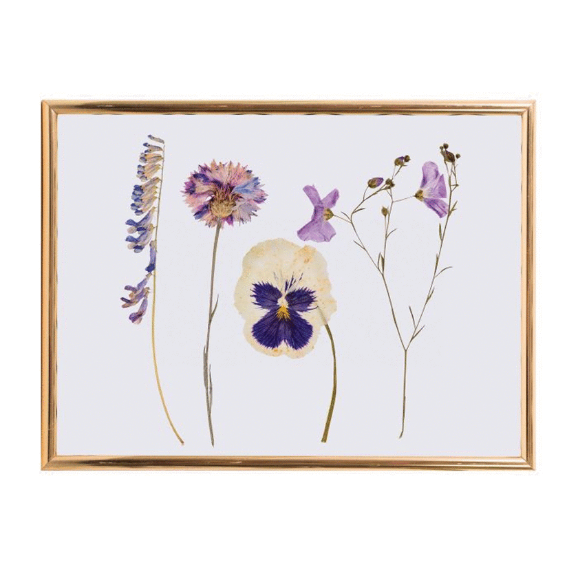 Discovery Zone Classic Flower Press Wood 15x5x15cm