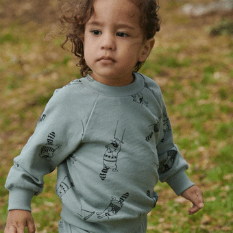 Nature Baby Emerson Sweater - Raccoon Rhapsody Print