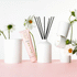 Ecoya Mother's Day Ceramic Diffuser - Citrus Blossom & Magnolia