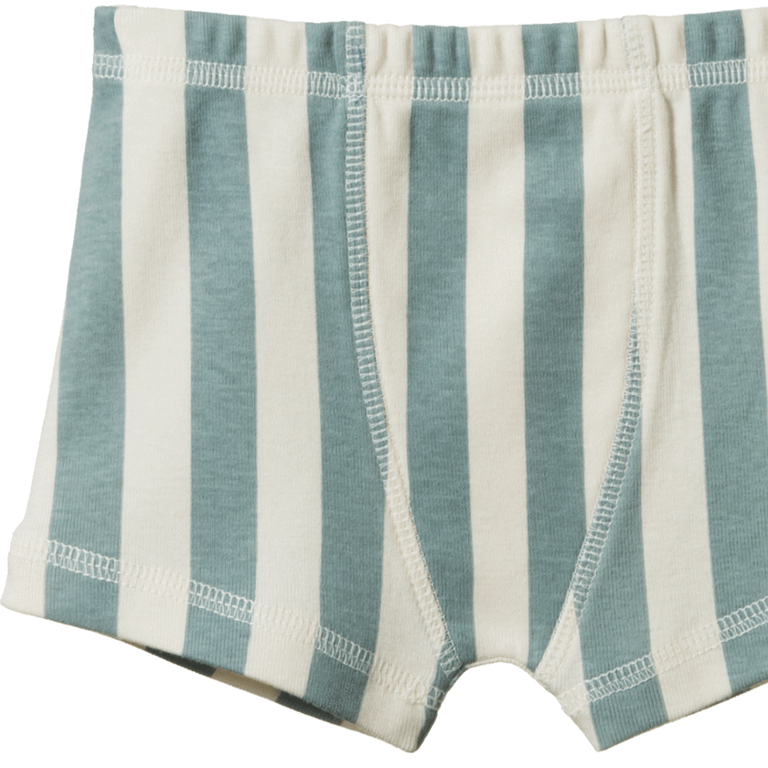 Nature Baby Boxer Shorts - Star Dew Stripe