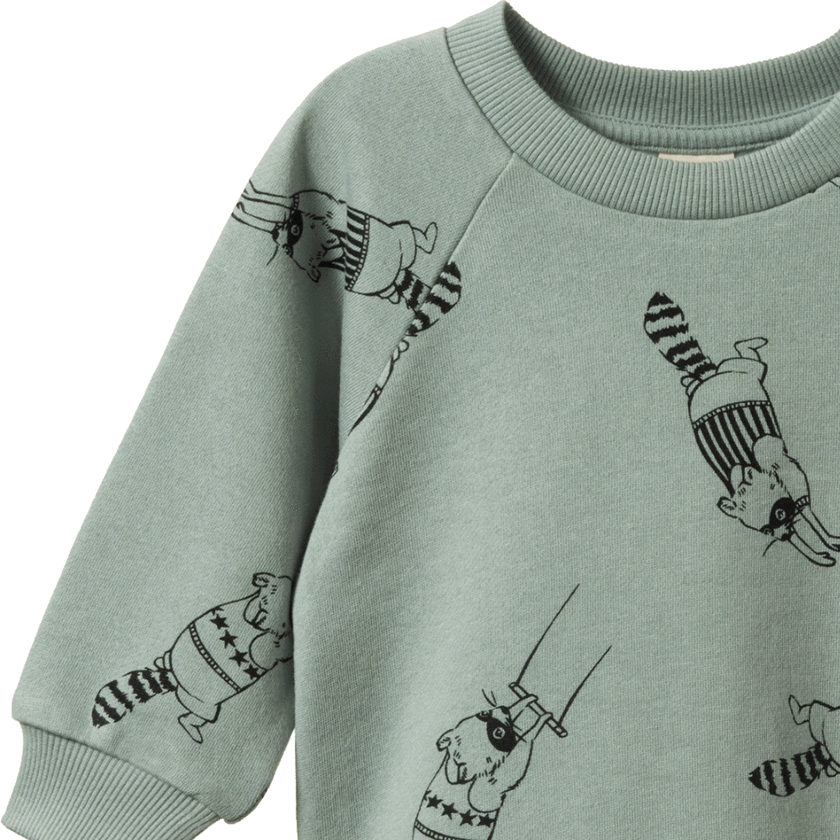 Nature Baby Emerson Sweater - Raccoon Rhapsody Print