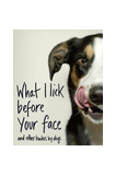 WHAT I LICK BEFORE YOUR FACE … AND OTHER HAIKUS BY DOGS