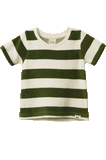 Nature Baby River Tee Terry - Bold Jungle Stripe